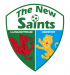 The New Saints' players in Welsh Premier League Team of the Season