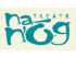 Theatr na n'Og