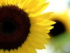 Nature's Way - Health Food Shop in Holsworthy