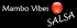 MV Salsa classes & club