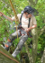 What should I do if I need to remove or treat a diseased or fallen tree?