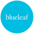 Blueleaf