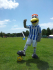Brighton Football Marathon 2013