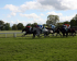 Independence Day at Perth Racecourse