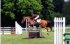 Shropshire County Horse Show in Shrewsbury