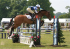Houghton International Horse Trials