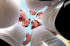 Lazy Daisy Birthing Antenatal Classes