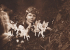 Fake a Fairy Photo Challenge