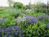 Bridewell Organic Gardens Open Afternoon