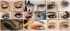 Eye Wonder - Alistair Cowin & NEW College