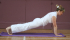 Integral Yoga Classes
