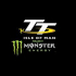 TT Races Isle of Man 2013