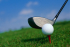 Golf: Level 1