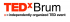 TEDxBrum Livestream Event