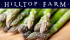 Asparagus Night at Hilltop Farm Cafe