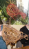 Willow Weaving - Hen/Cockerel