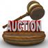 CHARITY AUCTION ANGLESEY ARMS WINSHILL