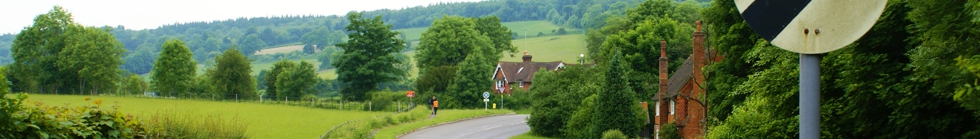 Local Businesses in Guildford