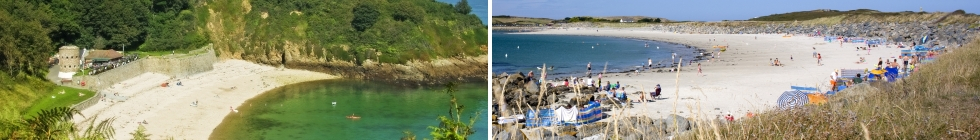 Local Businesses in Guernsey