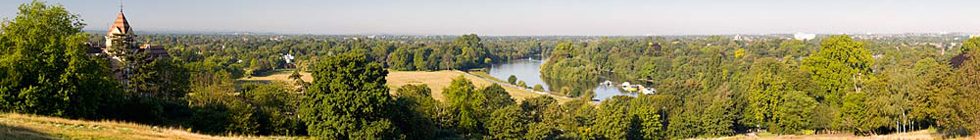 Local Businesses in Richmond