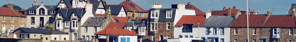 Local Businesses in Fife