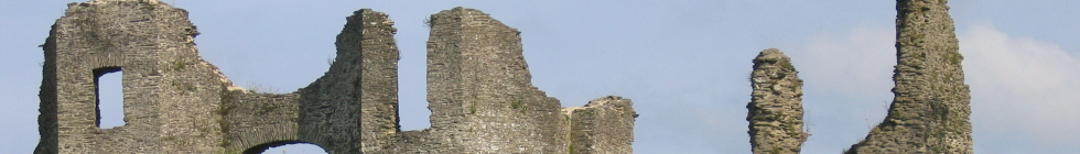 Local Businesses in Cardigan and Teifi Valley