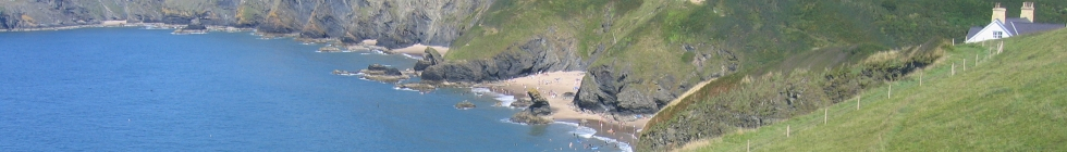 Local Businesses in Cardigan and Teifi Valley