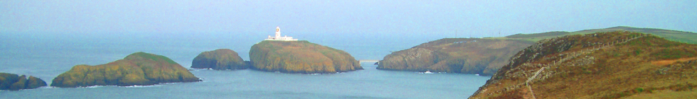 Local Businesses in Pembrokeshire