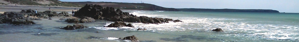 Local Businesses in Pembrokeshire