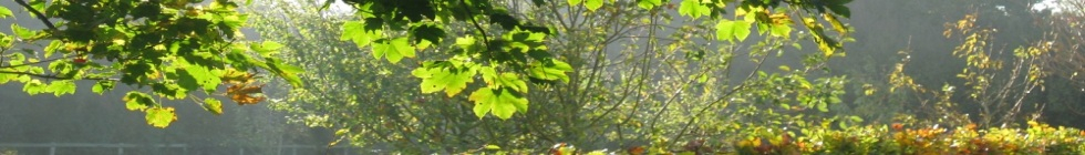 Local Businesses in Stroud