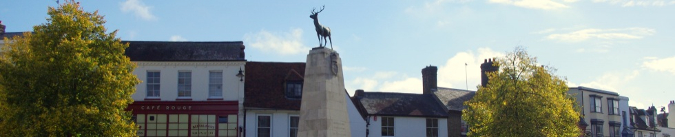 Local Businesses in Hertford