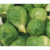 Tasty Christmas Sprout Recipes