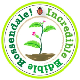 Grow your own food supply with Incredible Edible Rossendale