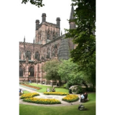 Birds Of Prey In City Centre Call Chester Cathedral Falconry And Nature Gardens Their Home