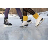 St Neots Ice Rink - A real success