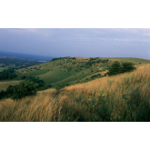 Ditchling Beacon - Five Fascinating Facts - Sussex Wildlife Trust
