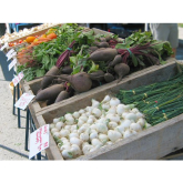 Farmers Markets in the Guildford Area