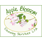 Affordable window cleaning service @Apple Blossom