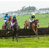 POINT-TO-POINT PREVIEW - DINGLEY, SATURDAY MAY 18