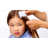Spotting Head Lice in Heanor and Ripley