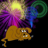 Ways To Help Your Dog Or Other Pets Cope With Bonfire Night And Fireworks