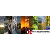 Choose Your Wildlife Winner - Sussex Wildlife Trust Photographic Competition