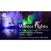 See Anglesey Abbey in a whole different light this year at the Winter Lights Festival