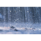 Has your business got a Bad Weather Policy?