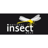 Celebrate National Insect Week 23-29th June......Turn Your Garden Into A Bug Haven!