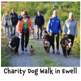Charity Dog Walk in Ewell – want to be part of it ?  #dogwalk @ewellvillage @ramsecurityfire #romaniandogrescue