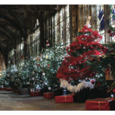 Chester Cathedral Christmas Tree Festival Lights Up Cloisters For A Second Year