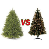 To Tree Or Not To Tree?........That Is Our Christmas Question!