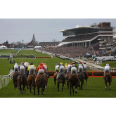 Are you going to the Cheltenham Festival 2015?
