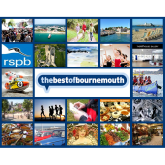 22 things to do in Bournemouth: 11 - 17 September 2015